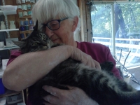 Cynthia Curtis Pottery Classes