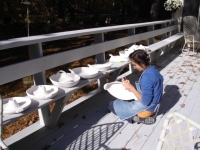 Cynthia Curtis Pottery Classes