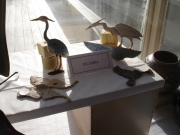 Cynthia Curtis Pottery Student Shows
